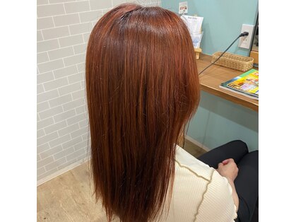 ジンゲン(ZingeN)の写真