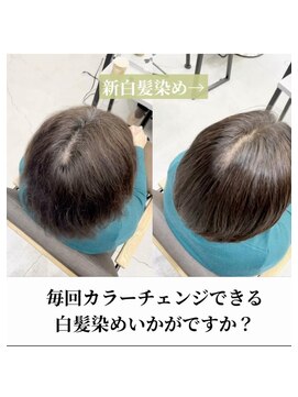 ダル 渋谷/表参道(DAL.) これからの白髪染め