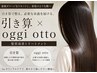【蓄積ダメージ改善】引き算×oggi ottoトリートメント　￥7700