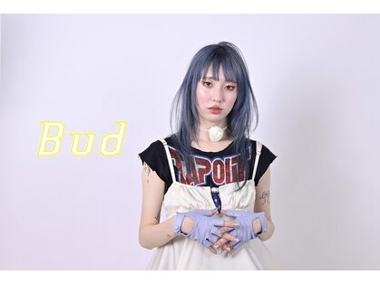 バド(Bud)の写真