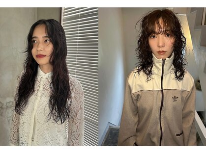 スーク(souq.)の写真