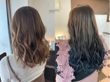 ゼフィール (zefeel)の写真