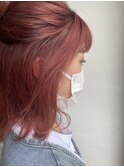 【あおき　ひかる】ダブルカラー　チェリーピンク
