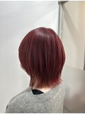 ミニウルフ×チェリーレッド【阿部佑香】