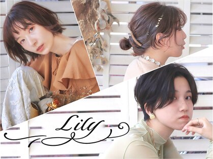 リリー(Lily)の写真