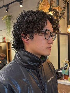 オッジバイケンジ(oggi by KENJE) 外国人風くるくるパーマ