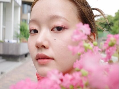 タート(Taat.)の写真