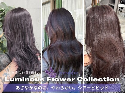 エル バイ ファースト(L by first)の写真