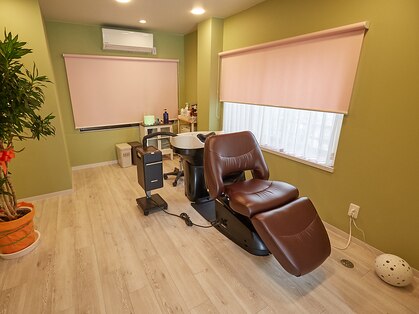 ねむれる森の写真