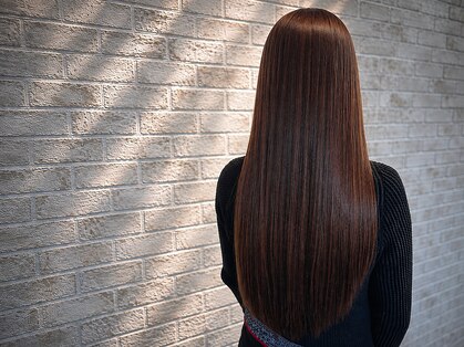 ココン(cocon)の写真