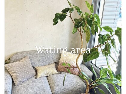 ビジ(biji)の写真