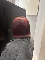 ルクス(Luxs)&nbsp;ブリーチありダブルカラー(レッドカラー)