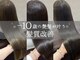 ショコラ アン 横須賀中央の写真