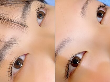 ララ(Lala)の写真