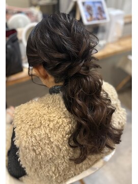 パシャ(Pasha) ローポニー