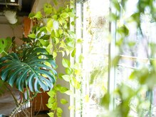 マワル(maWaRu)の雰囲気（光と緑いっぱいの気持ちの良い空間でお待ちしております。）