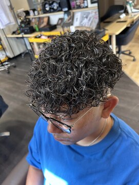 ジャンプザチーター(JUMP the cheetah) スペインカール