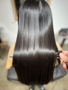 エルヴィタ(ELVITA) 『髪質改善メテオカラー』