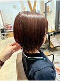 ボブレイヤー