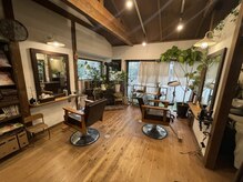 ハディーカヘアー(Hadeeca hair)