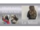 ラ ミミ(La Mimi)の写真