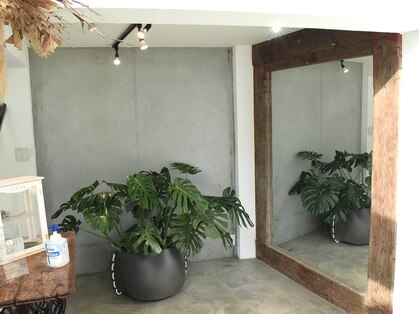 エムドットヘアーサロン(M. hair salon)の写真