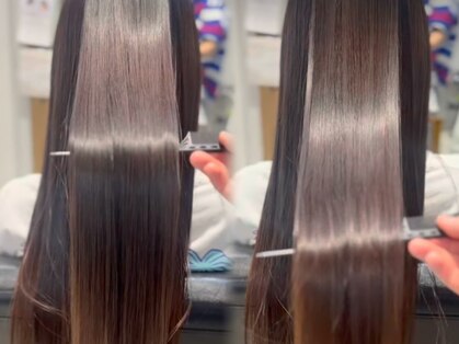 ローズ(ROSE)の写真