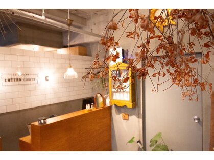 ラタン 松戸西口店(LATTAN COSITU)の写真