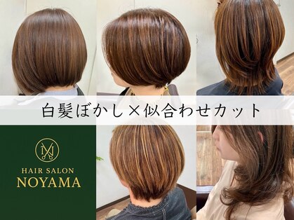 ノヤマ(NOYAMA)の写真