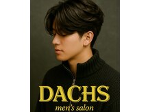 ダックス(DACHS)