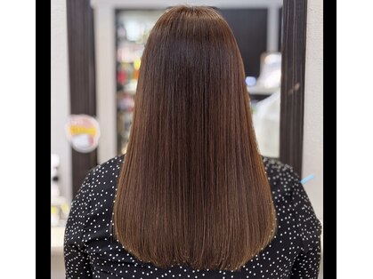 ジェリクル(Jellicle)の写真