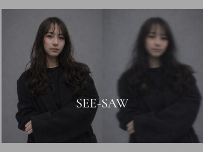 シーソー(SEE-SAW)の写真