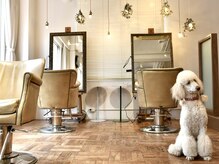 ヘアサロン ケッテ(hair salon kette)