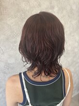 ウィット(8) ウルフ×ボルドーブラウン