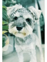 キュエ(qiie) omochi