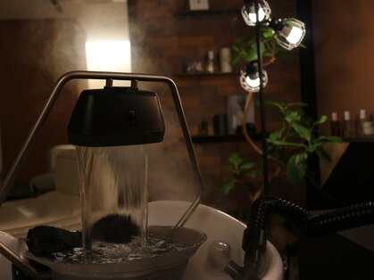 フィグ(fig)の写真