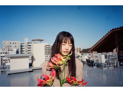 キャンバス(canvas)の写真