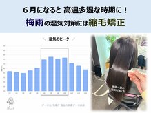 ドワーフ(DWARF)の雰囲気（梅雨入りで湿気シーズン突入！ストレス対策を一緒に作りましょう）
