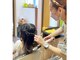 キャロットスイ(Carrot sui)の写真