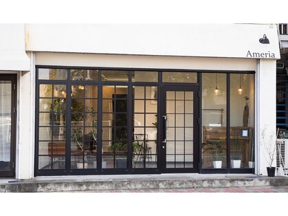 アメリア(Ameria)の写真