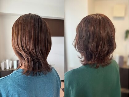 ゼフィール (zefeel)の写真