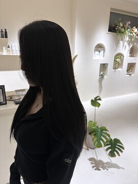 メイン(『 』main) ブルーブラック