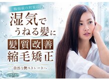 ロアゾブルー(L'oiseau Bleu)