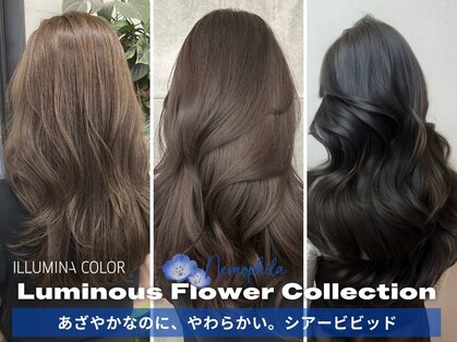 エル バイ ファースト(L by first)の写真