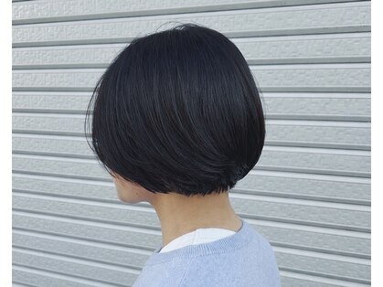 キノトロープ(KINOTOLOPE)の写真