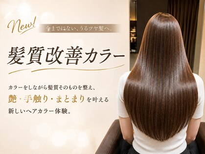 カルディアルッソ(CARDIA LUSSO)の写真