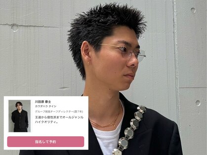 スティミュラス(Stimulus)の写真