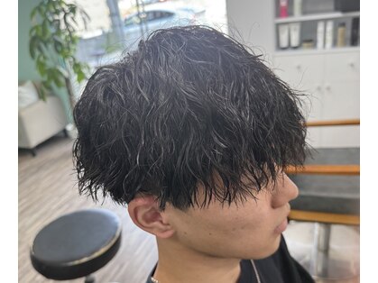 ミント(Mint)の写真