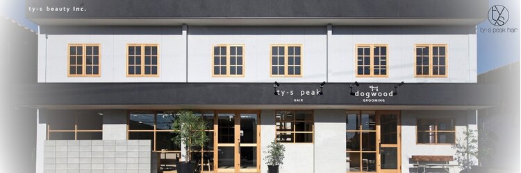 ティーズピーク(ty s peak)のサロンヘッダー