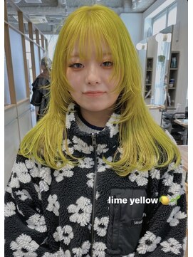 ウィットサークル(wit circle) ライムイエローカラー
